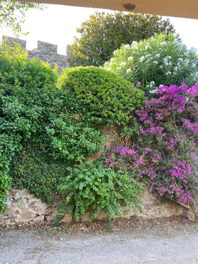 Pretty Historical Village House Grimaud Exterior foto